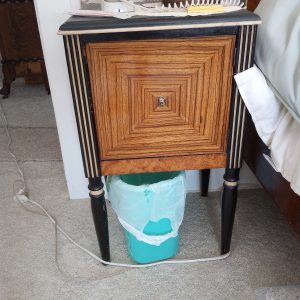 Macassar Ebony 02
