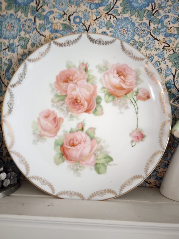 1002204_plates_084225906_rosespink