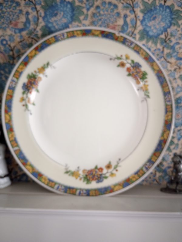 1002206_plates_084259574_yellowBlueflower