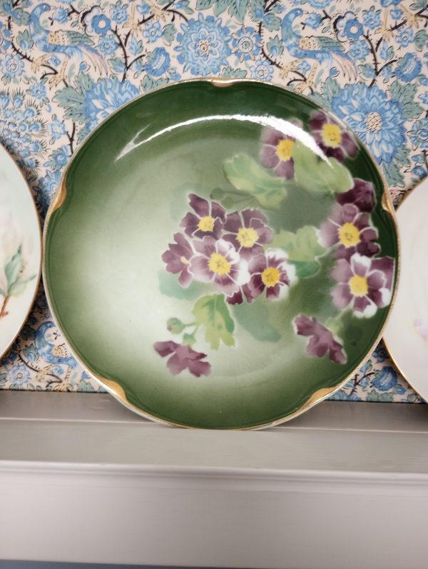 1002214_plates_084357672_greenpurpleflowers