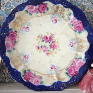 1002228_plates_084555217_bluepink