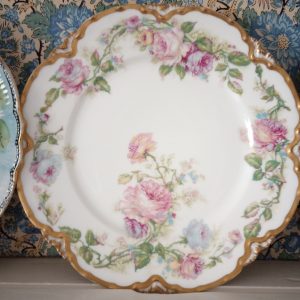 1002229_plates_084559227_pink