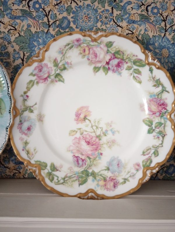 1002229_plates_084559227_pink
