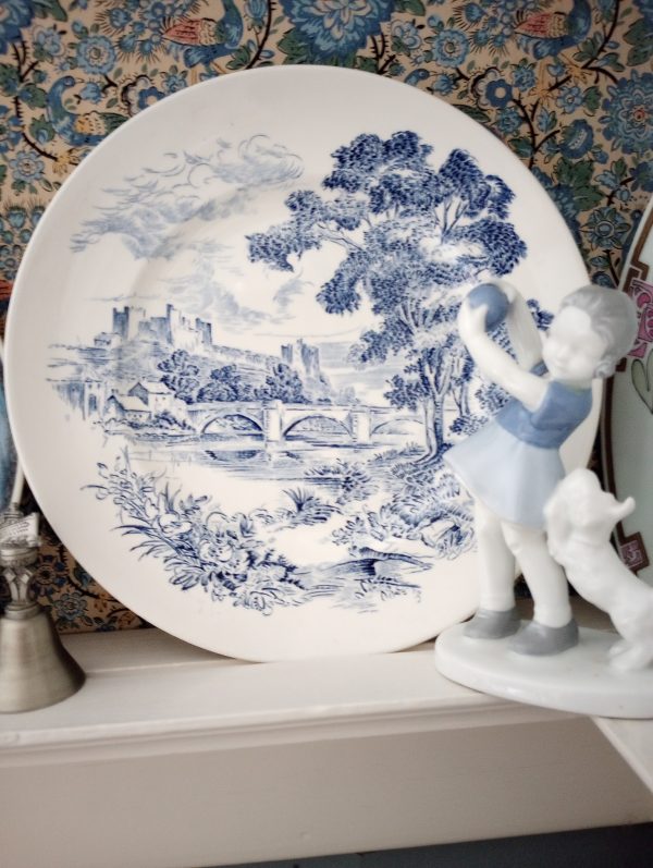 1002240_plates_084700293_whiteBlue