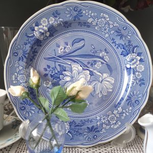 1002243_plates_084720954_blue