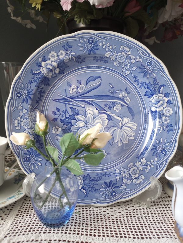 1002243_plates_084720954_blue