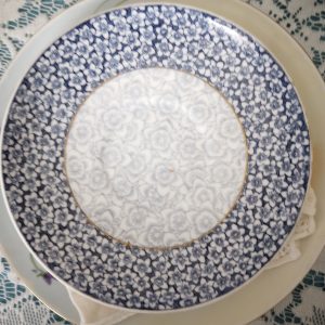 1002253_plates_085005171_bluerim