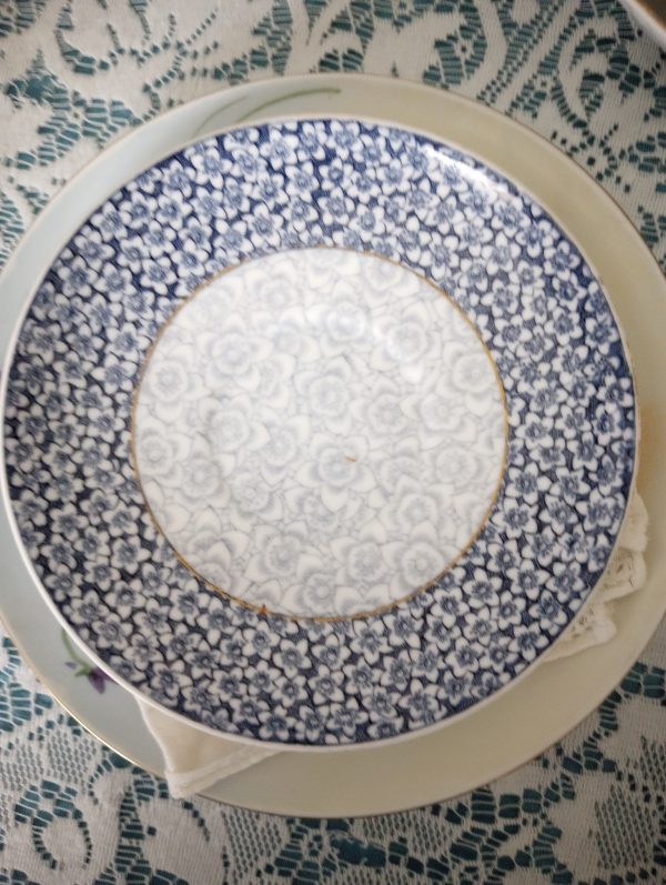 1002253_plates_085005171_bluerim