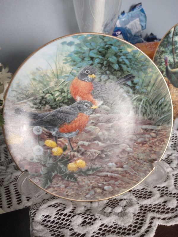 1002261_plates_085121435_robins_goldRim