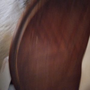 1003110_tvroom_175546_halfTable