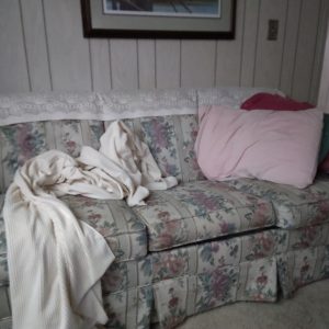 1003404_tvroom_175353_couch