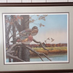 1003413_tvroom_133836873_duckPrint