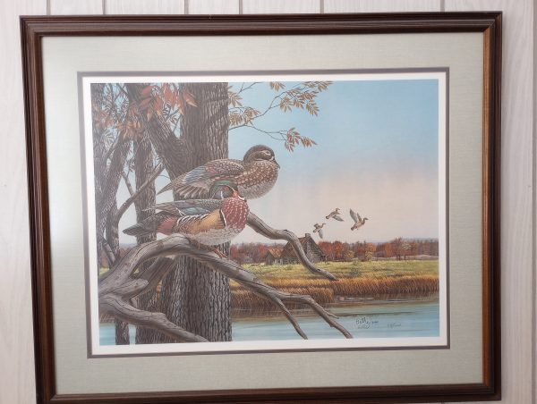 1003413_tvroom_133836873_duckPrint