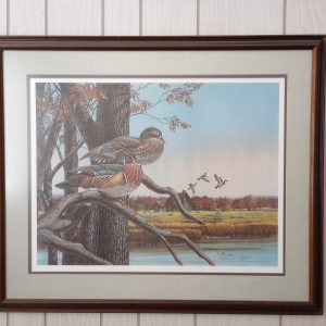 1003414_tvroom_133856212_duckPrint