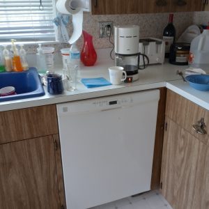 1004109_kitchen_110522819_dishwasher