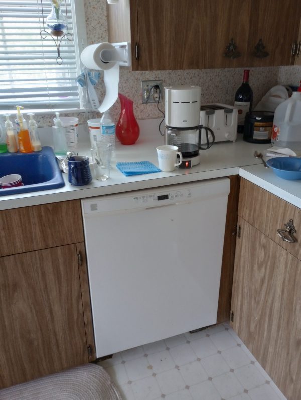 1004109_kitchen_110522819_dishwasher