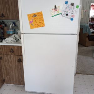 1004110_kitchen_110516267_frig