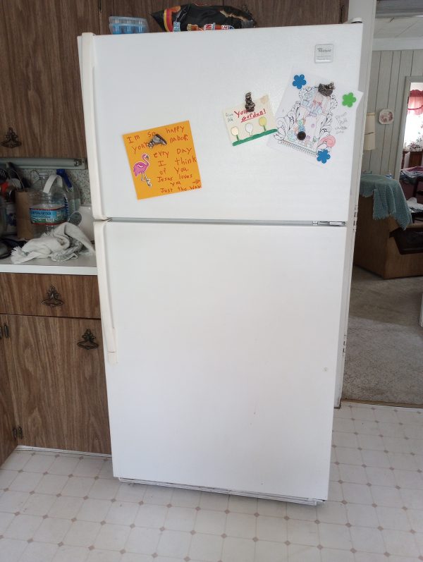 1004110_kitchen_110516267_frig
