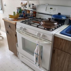 1004122_kitchen_110528705_stove