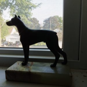 1004308_stairs_181832_ironDogOnIvory