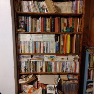 1005105_180616_tallBookcase