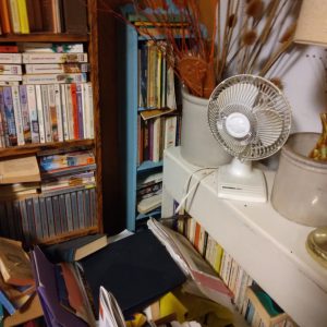 1005107_180634_bluebookcase