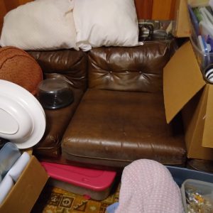 1005110_180716_vinalcouch