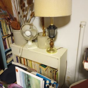 1005114_104842059_smallWhiteBookcase
