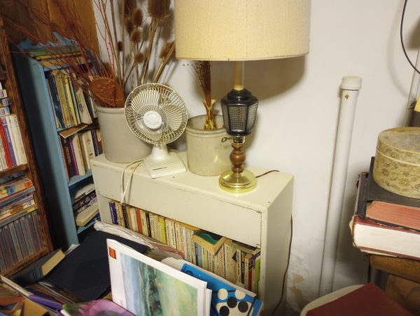 1005114_104842059_smallWhiteBookcase