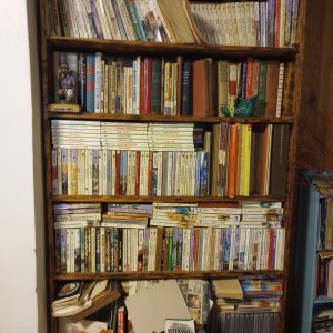 1005115_104847655_tallBookshelf