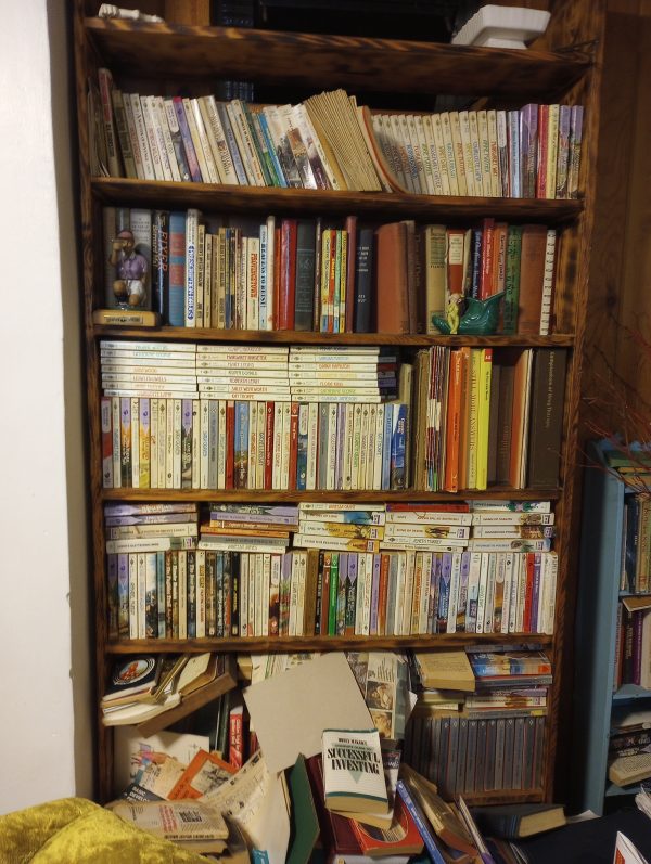 1005115_104847655_tallBookshelf