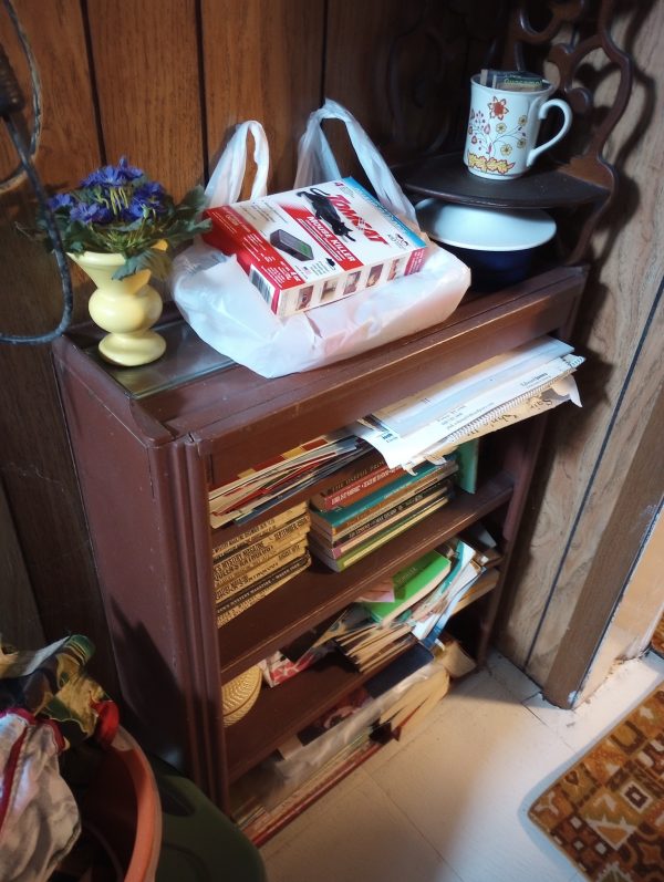 1005151_105732511_brownbookcase
