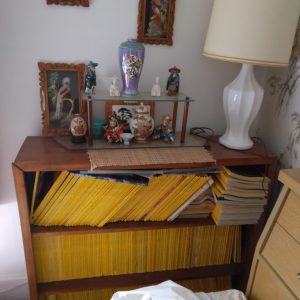 1006104_bedroom1_181052_bookShelfNationalGeographic