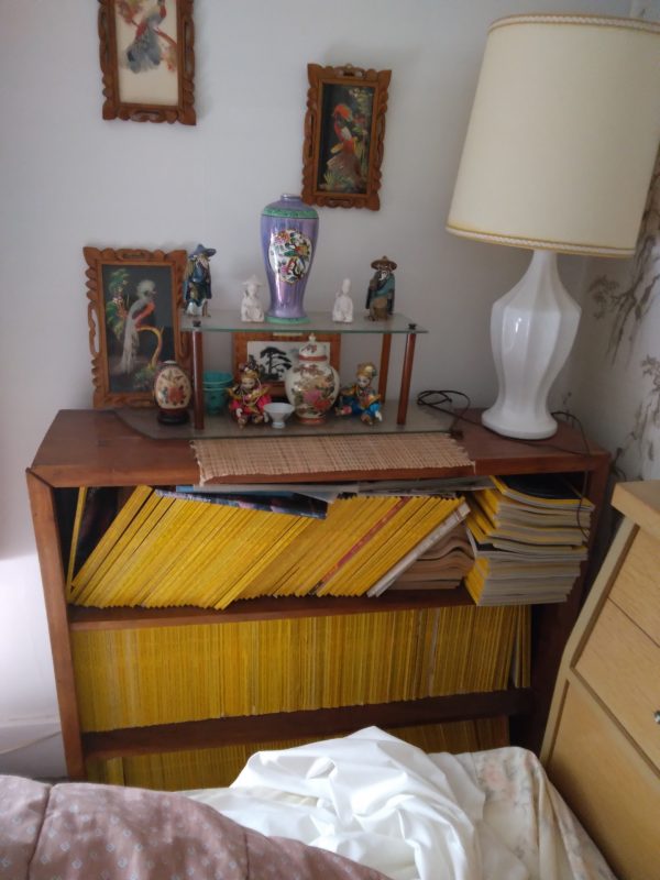 1006104_bedroom1_181052_bookShelfNationalGeographic