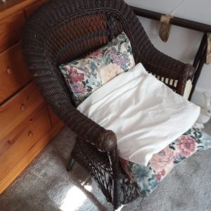 1006118_bedroom1_181151786_wickerChair