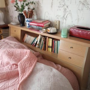 1006125_bedroom1_181245964_bookshelveLamp