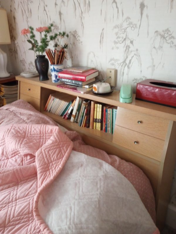 1006125_bedroom1_181245964_bookshelveLamp