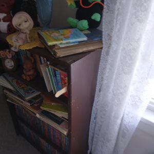 1007111_bedroom2_181423_brownBookShelf