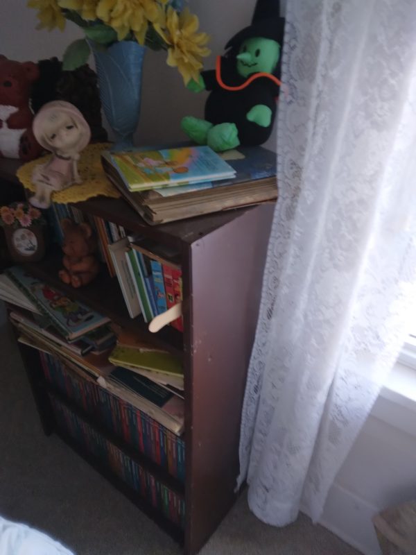 1007111_bedroom2_181423_brownBookShelf