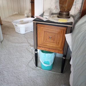 1007115_bedroom2_164847663_macassarEbonybedTable