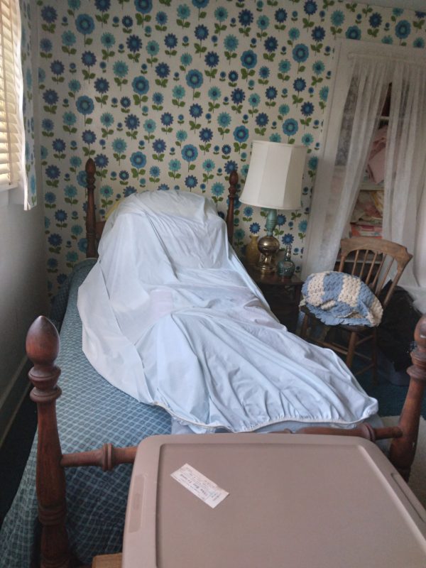 1008105_bedroom3_181548_twinBed
